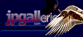 jpgall_banner_B.png